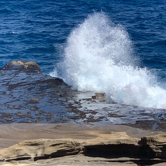 Meet your Posher, Aravious - Picture 1 of 3